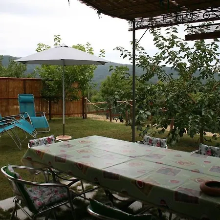 Holiday home The Gelsi House Velva